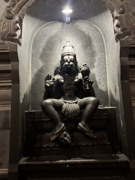 【一度は行くべき！】感動の猿の神様ハヌマーン寺院