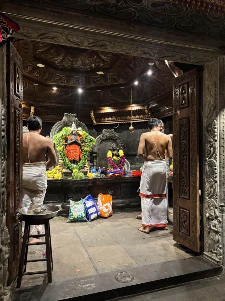 【一度は行くべき！】感動の猿の神様ハヌマーン寺院