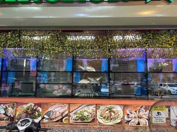 【Google評価4.8！】マレーシアでイチオシの本格タイ料理レストラン