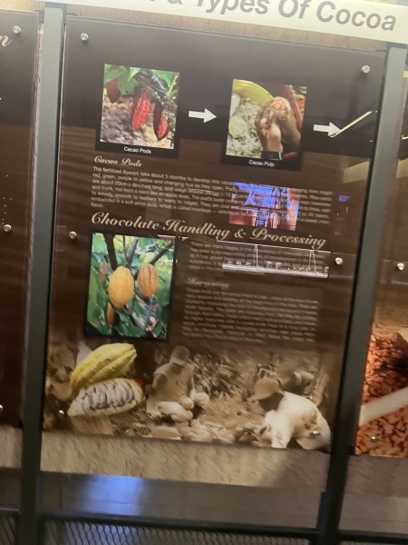 【試食あり】週末にChocolate Museum Malaysiaに行ってみよう！