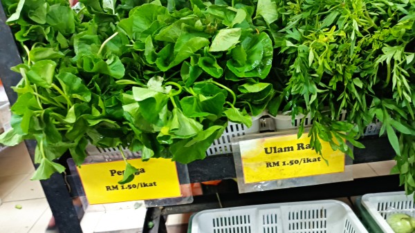 【マレーシアのハーブ】ウラムに使われるハーブ6選！