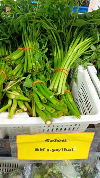 【マレーシアのハーブ】ウラムに使われるハーブ6選！