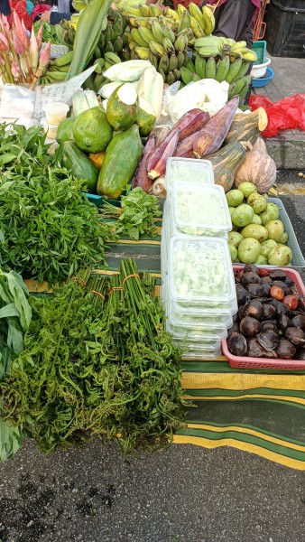 【マレーシアのハーブ】ウラムに使われるハーブ6選！