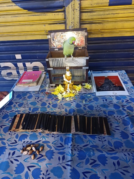 【MM2Hの方必見】マレーシアで占い体験！おすすめスポット2選