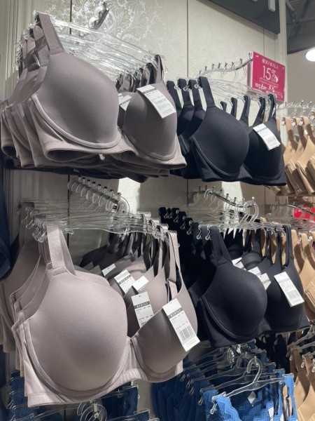 【MM2H女性必読】マレーシア移住の盲点「下着問題」を解決！大きいサイズが買えるおすすめブランド