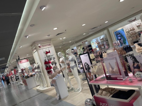 【MM2H女性必読】マレーシア移住の盲点「下着問題」を解決！大きいサイズが買えるおすすめブランド