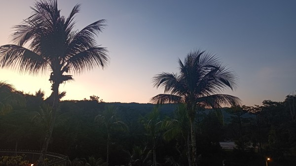 【マレーシア教育移住】学生ビザでは日本人学校に通えない！？MM2Hビザが「最強」と言われる本当の理由