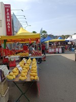 【MM2H移住におすすめ】都会×ローカルの''バンサー''ってどんな街？